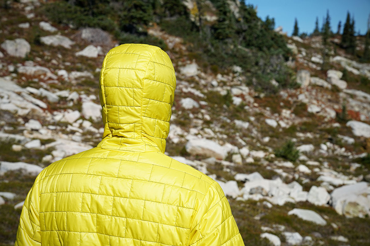 Patagonia Nano Puff (hood)